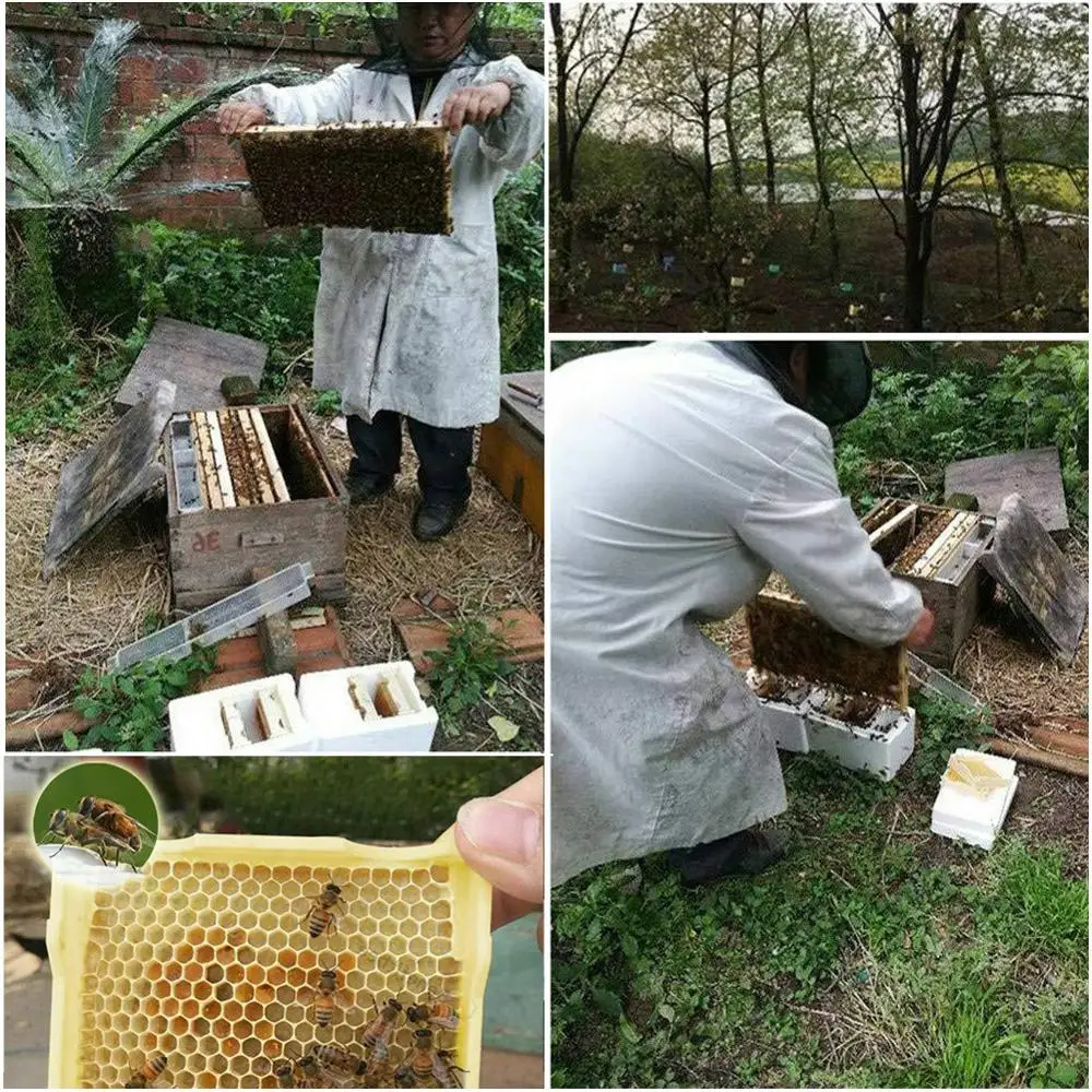 Ящик для королевская коробка урожая пчелиного улья опыления идеально подходит