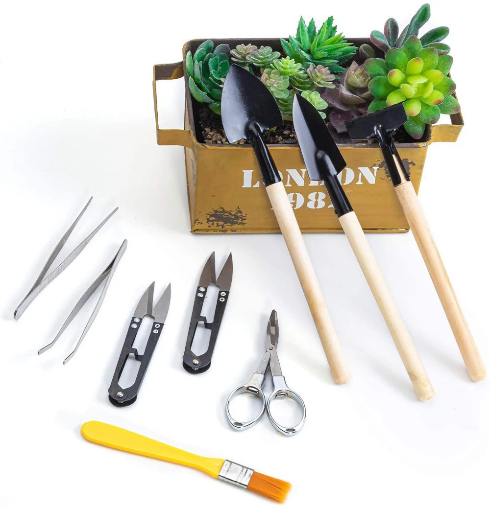 

10/12 Pcs Set Mini Garden Hand Tools Succulent Plants Transplanting Tool Indoor Outdoor Bonsai Planting Gardening Supplies