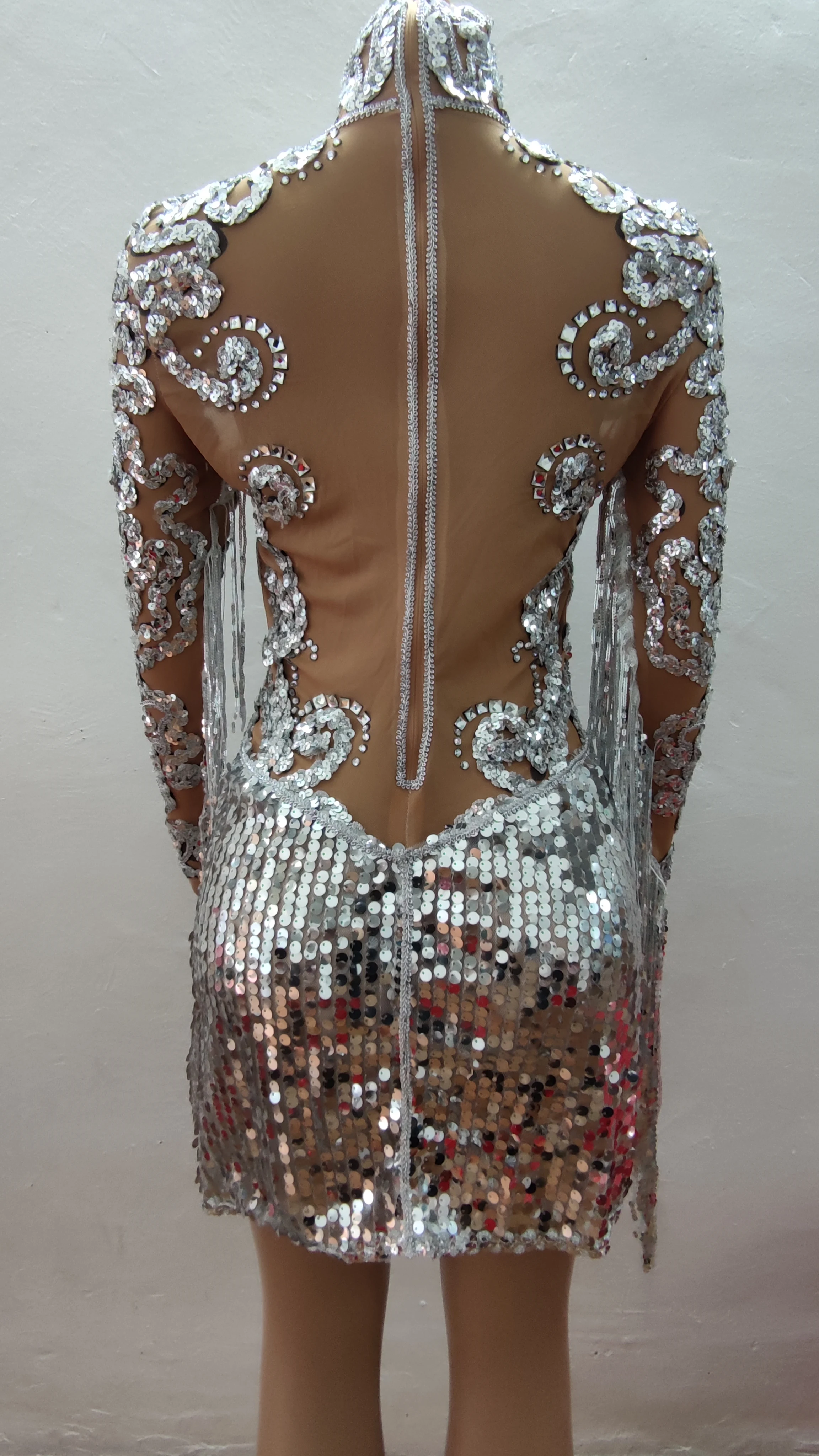 Flashing Silver Sequins Fringes Short Dress Latin Dance Bar Show Transparent Outfit Evening Prom Party High Collar | Тематическая