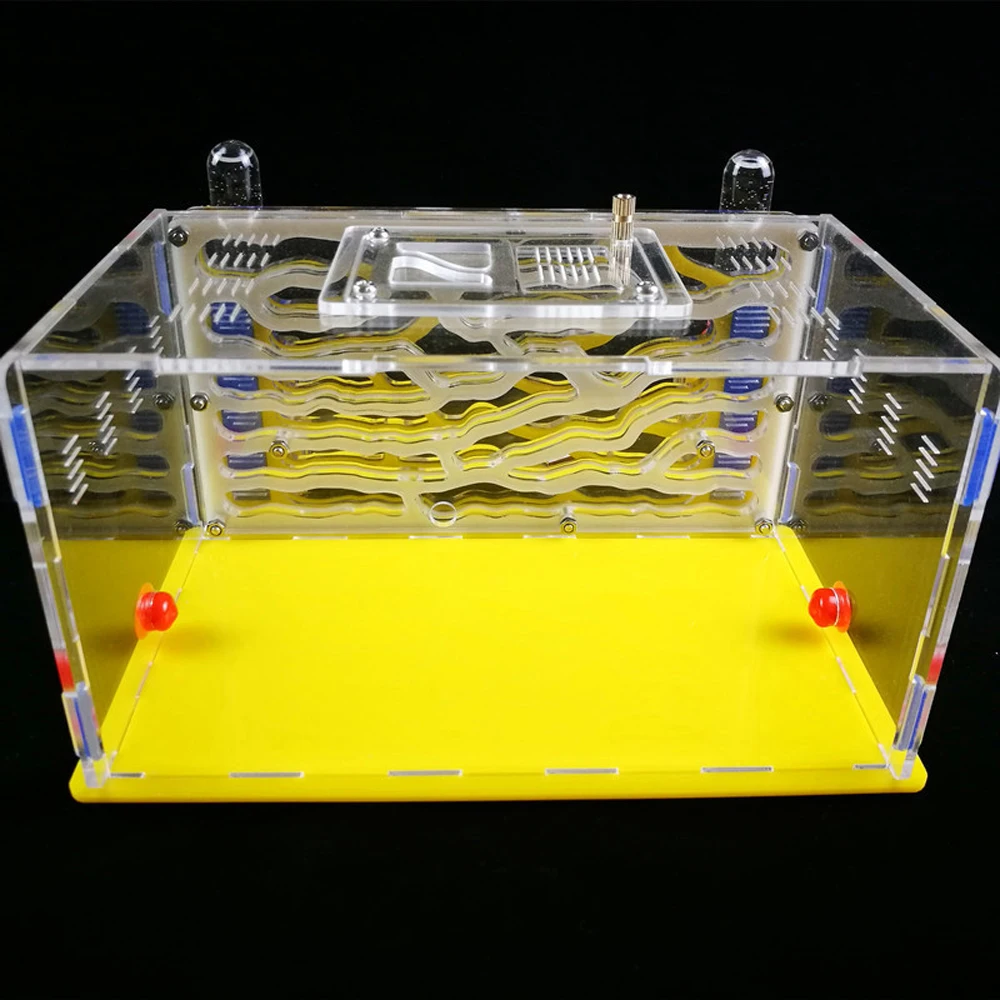 

Ecological Nest DIY Antgranery Moisture Feeding Area Ant Farm Acrylic Villa Pet Advanced Mania For House Ants Birthday Present