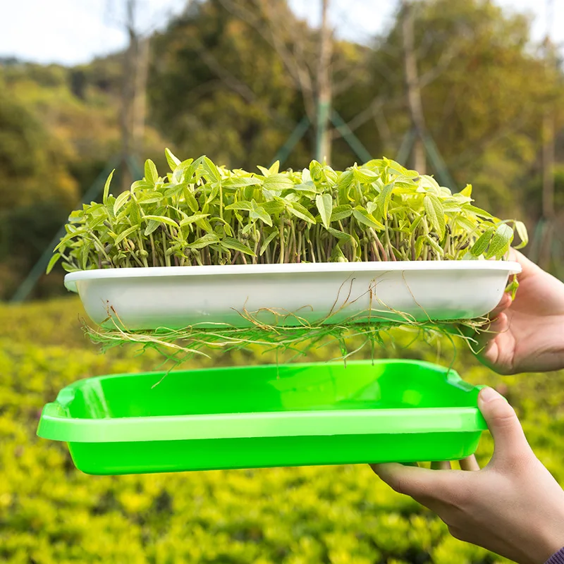 Double-Layer Hydroponics Seed Germination Tray Sprouter Nursery Grow Pots Vegetable Seedling Pot | Дом и сад