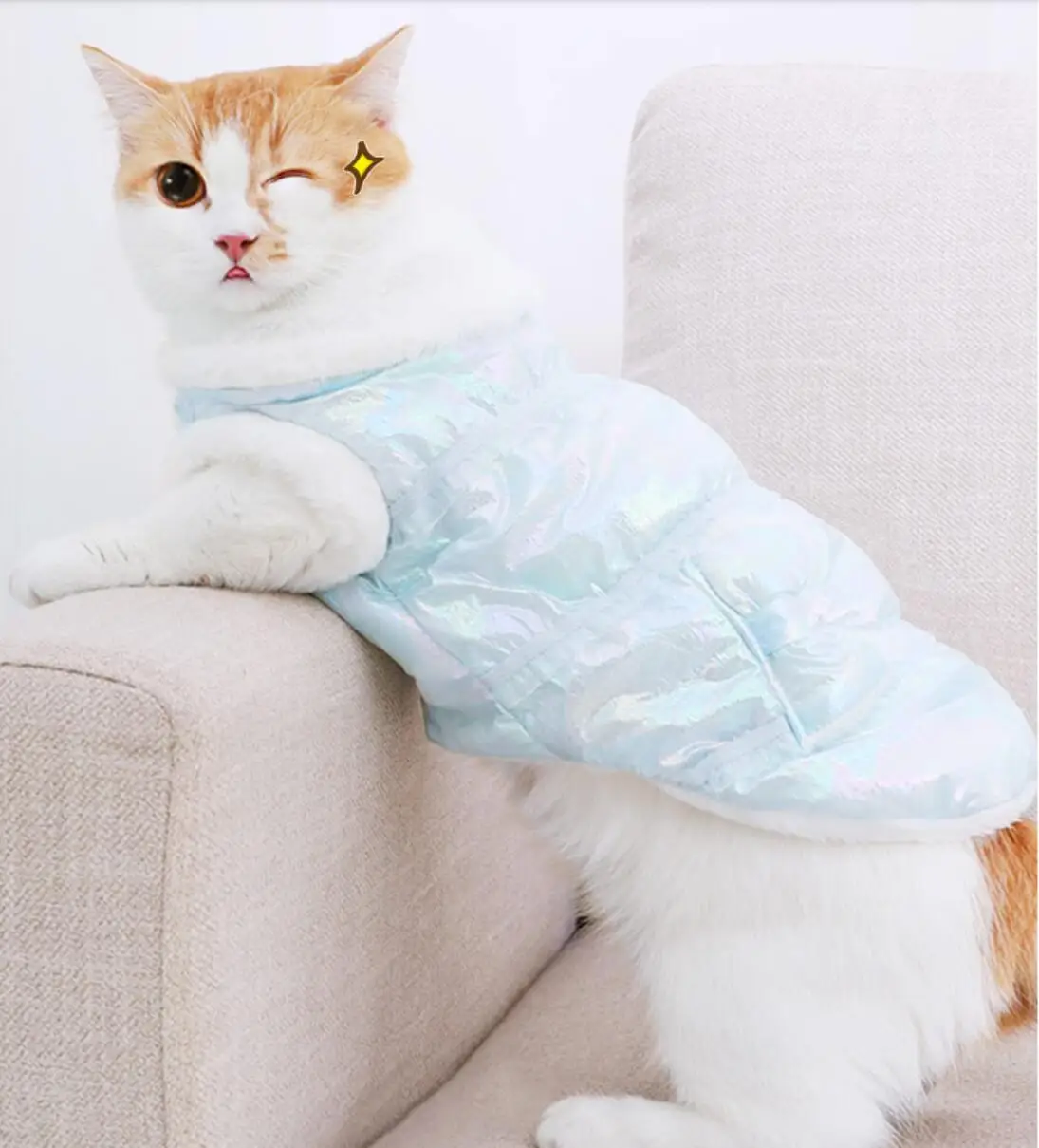 

Winter thin puppy dog spring and autumn clothes Teddy Pomeranian small puppies