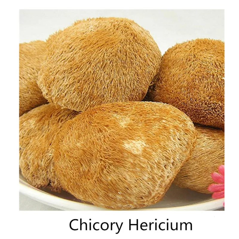 

1bottle /2 bottles-Chicory Hericium erinaceus, chicory extract, Hericium extract, high protein bodybuilding muscle 1 bottle=100p