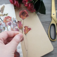 10pcs big size dry rose flower specimen style pvc transparent sticker scrapbooking diy gift decoration tag