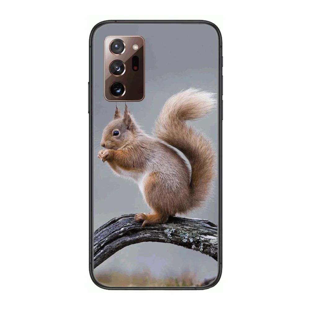 

Cute animals, funny and interesting, does it look like you-frosted anti-drop phone case Phone Case cover hull For SamSung note20