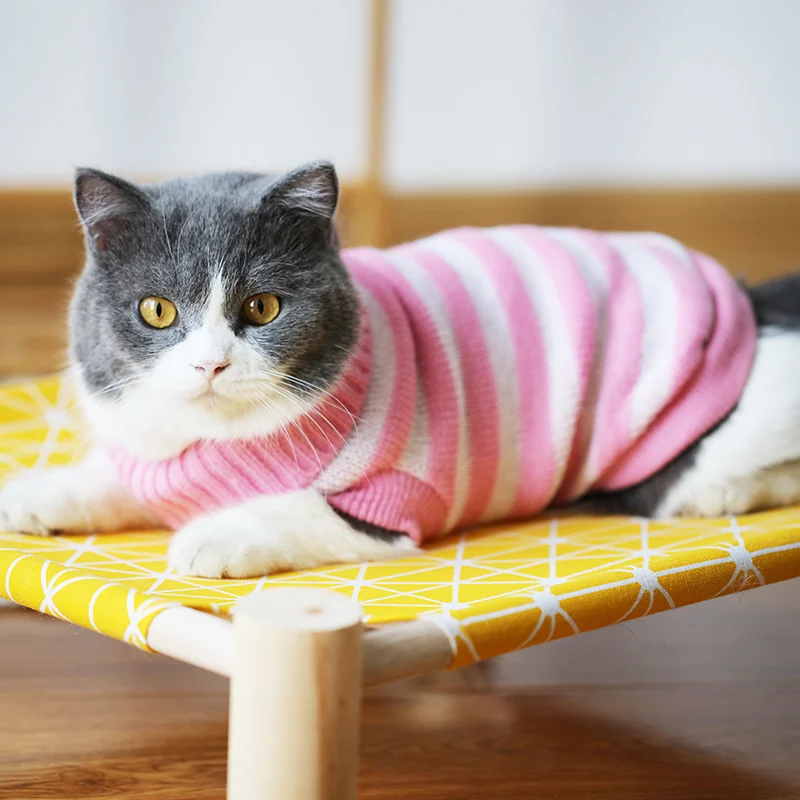 Одежда для кошек Милые котята Голубые Короткий свитер в полоску Сезон осень зима