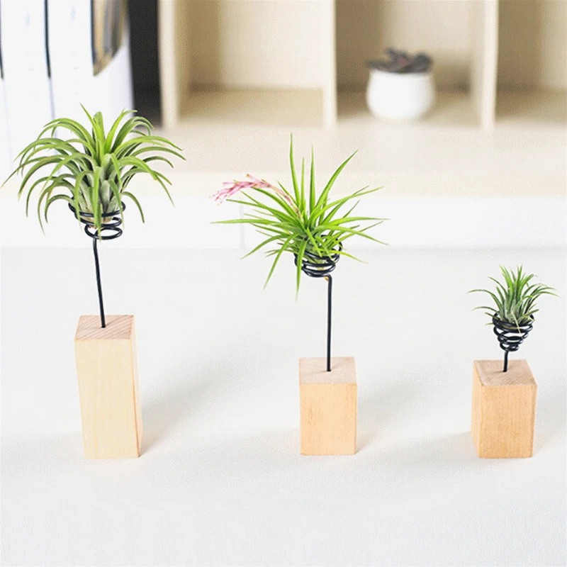 Новинка креативная настольная подставка для растений Настольная стойка модная 6