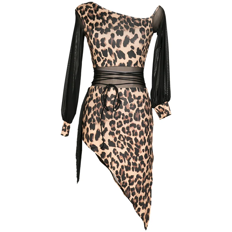 

New Latin Dance Dress For Women Long Sleeve Mesh Leopard Practice Clothes Rumba Tango Samba Salsa Ballroom Dance Costume DWY4793
