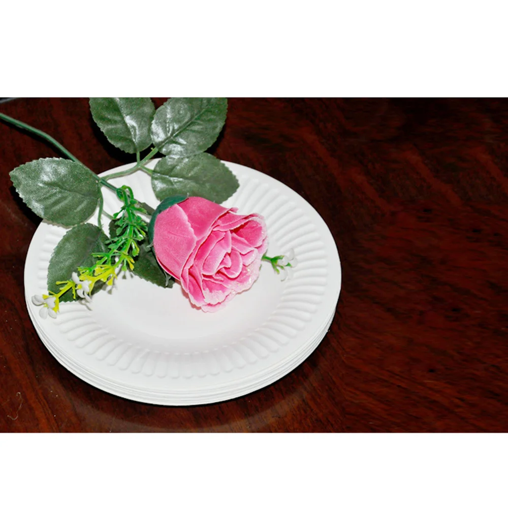 

100 Pcs Classic White Round All Occasion Disposable Paper Dinner Plates Party Supplies (White)