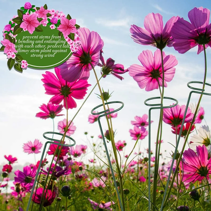 

4Pcs Plant Support Garden Flower Support Indoor Plant Support Potted Stand Flower Arrangement