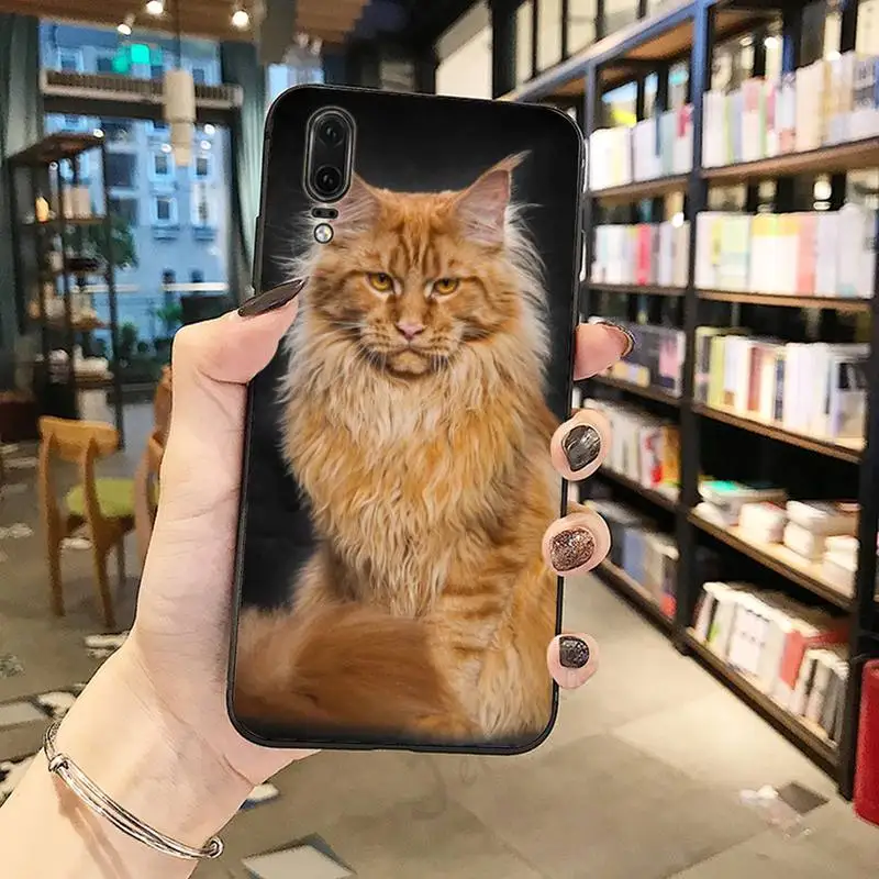 

maine coon cat pet cut animal Anti-fall mobile Phone Case For Huawei honor Mate P 10 20 30 40 Pro 10i 9 10 20 8 x Lite