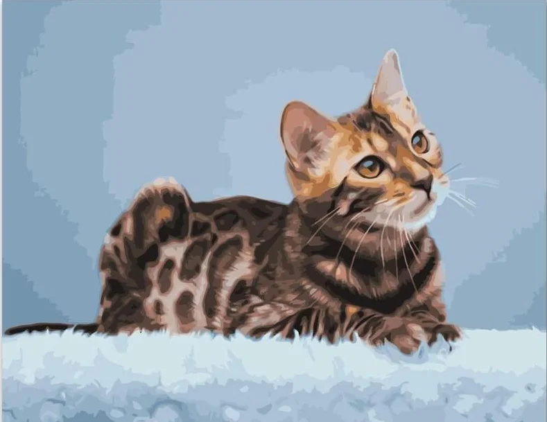 

Рамка с изображением кошки, цифровая картина «сделай сам», акриловая Современная Настенная картина для украшения дома