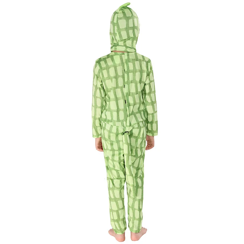 Детский костюм на Хэллоуин Хамелеона ящерицы для мальчиков животного