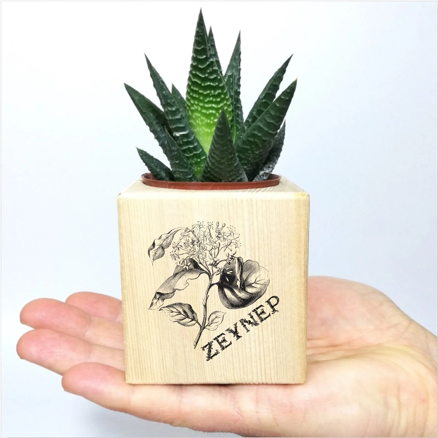 

Personalized Flower Themed Live In Pots Sukulent