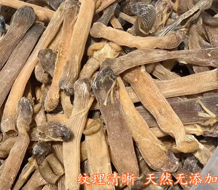 

Large Dried Golden Sandworm, Thick Meat, Wild Old Sandworm, Natural Dried Seafood, Self-dried By Fishermen