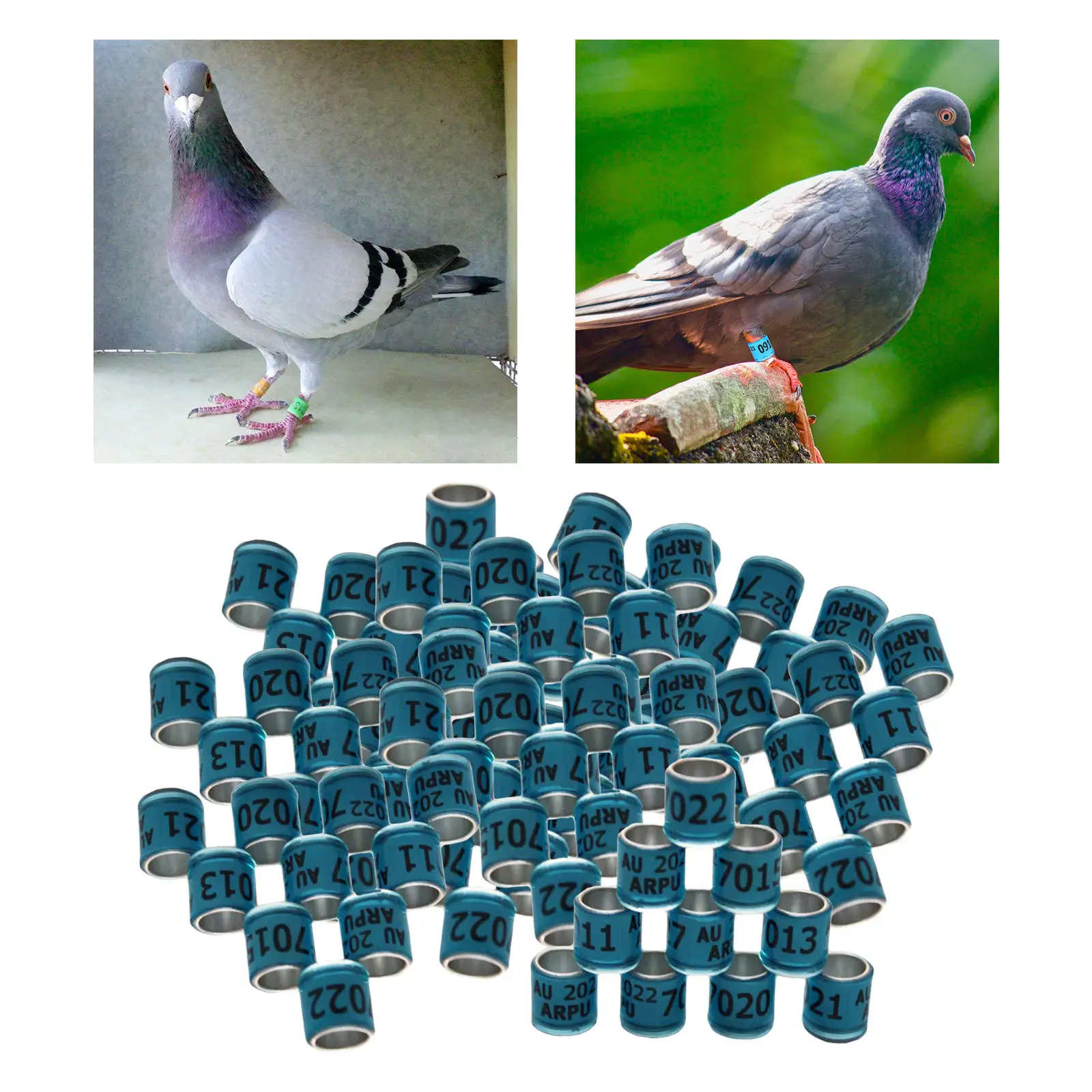 

2x100Pcs 2022 Aluminium Racing Pigeon Foot Rings Bands 8mm Blue