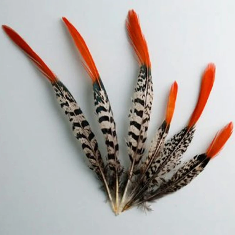 

Natural Lady Amherst Pheasant Feathers Feathers for Crafts 5-30cm/2-12" Feathers Jewelry Making Wedding Carnival Plumes Plumas