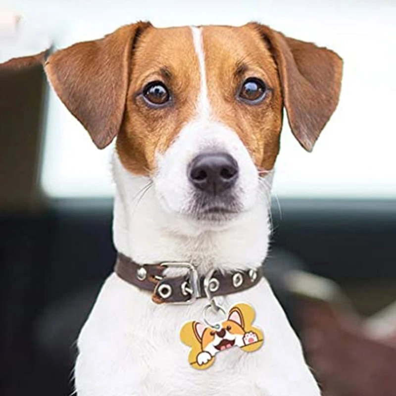 

Acrylic Keychain Blanks Including Rectangular Acrylic Blanks Keychain Tassels Key Chain Rings for DIY Keychain and Tags