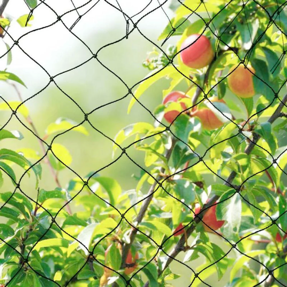 

Flower Anti Bird Netting Anti-Bird Cover Chicken Nets Gardening birds Catcher