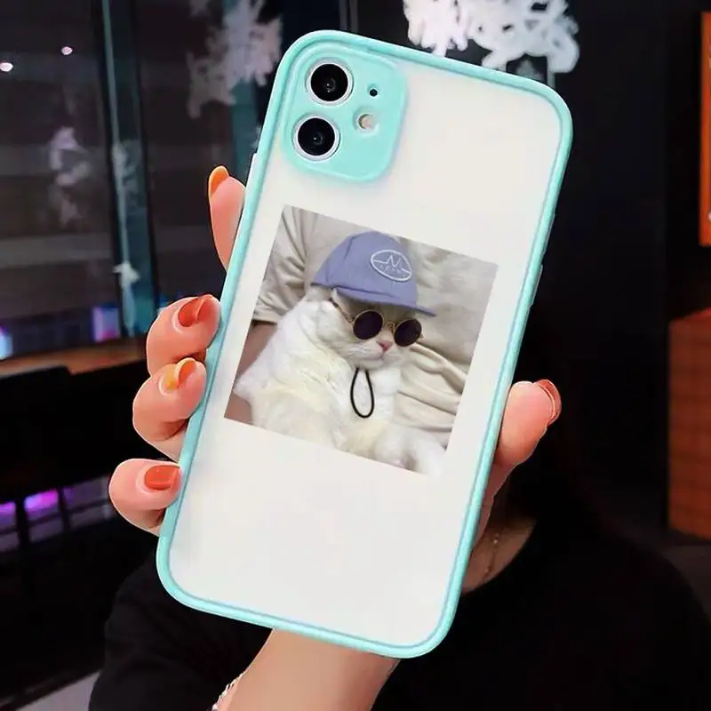 

Cute Cat Phone Cases Matte For iPhone 12 Mini 11 Pro XR XS Max 7 8 Plus X Hard PC Back Cover