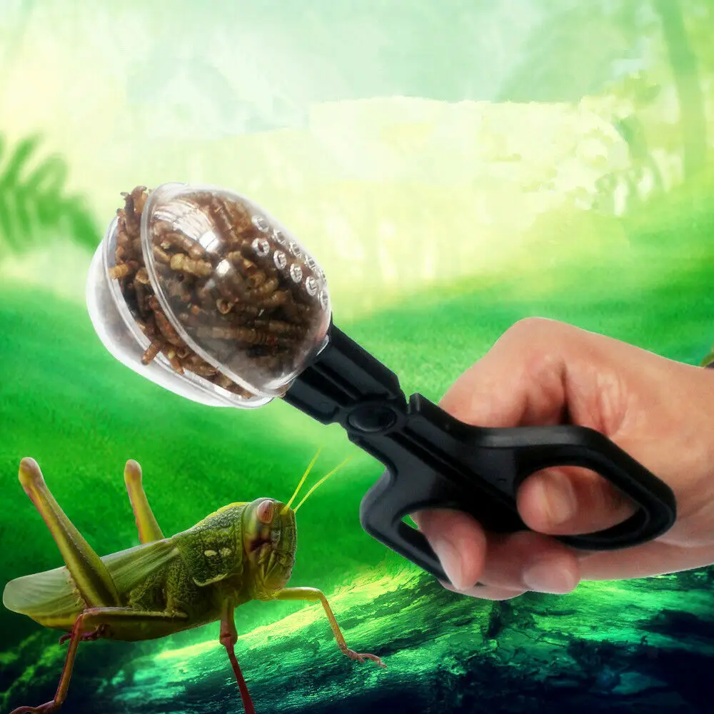 

Cute Amphibian Supplies Reptile Clip Transparent Clip Cleaning Tool Pet Reptile Tortoise Lizard Frog Spider Cleaning Clip
