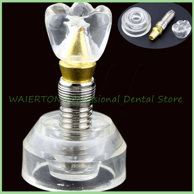 Импланты Модель Тонкие прозрачные стойка для зубных щеток в виде зуба имплантат