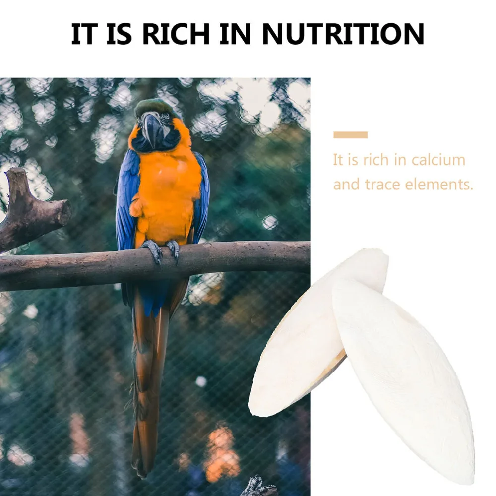 

30pcs Parrot Training Toys Cuttlefish Bone Pet Training Chewing Molar