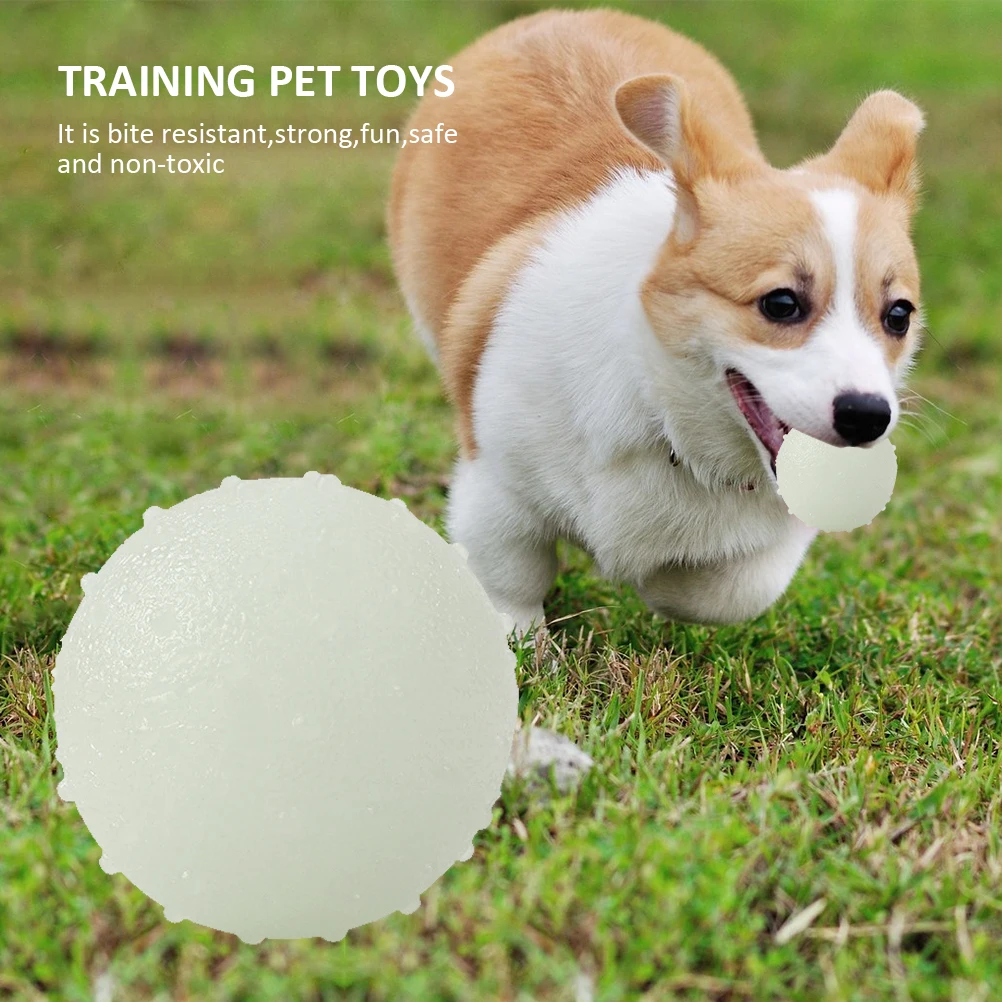 

Durable Pet Luminous Ball Rubber Bite Resistant Squeeze Toys Seal Anti-stress Fluorescence Dog Gifts Puppy Interactive Supplies