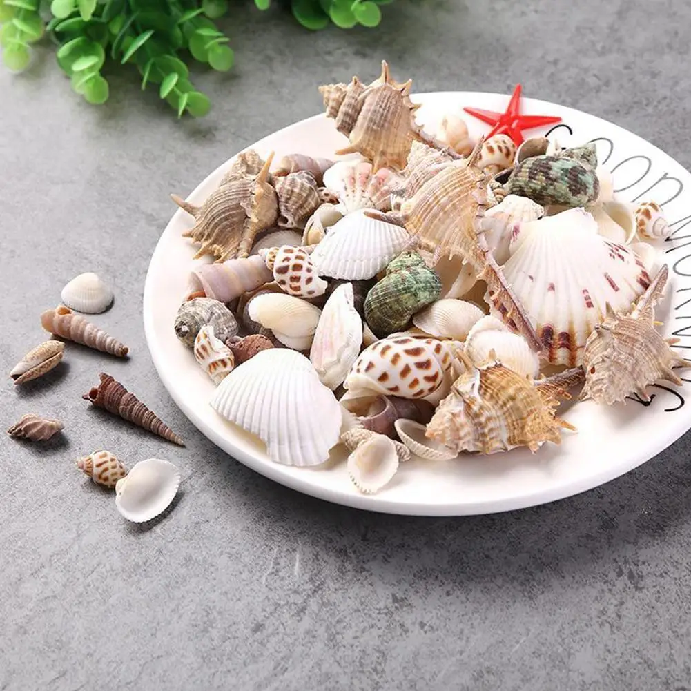 Натуральный мини-раковина Bkhl Ландшафтная декорация в средиземноморском стиле