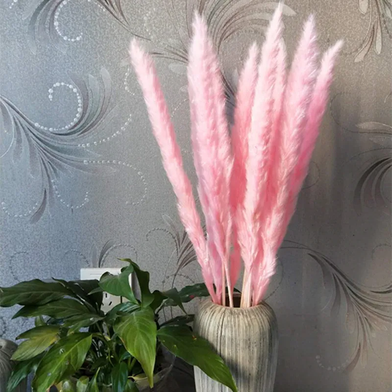 7 шт. Bulrush Натуральные Сушеные маленькие пампасы травы Phragmites растения искусственные, свадебные цветы букет домашний Рождественский Декор искусственный цветок