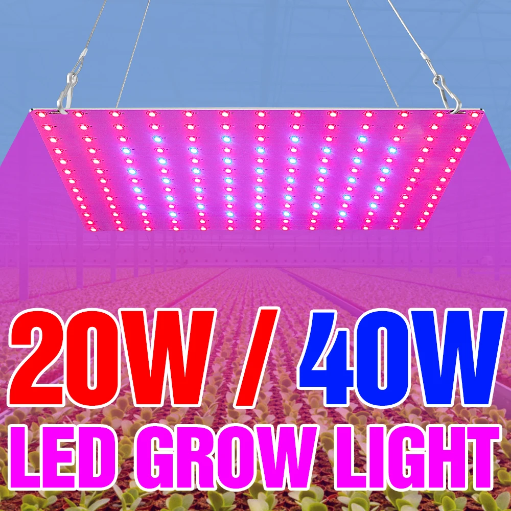 

LED Growing Lamps Grow Light 20W 40W Full Spectrum Phyto Lamp For Plant Seedling Cultivation Plant Lighting Fitolampy AC85-265V