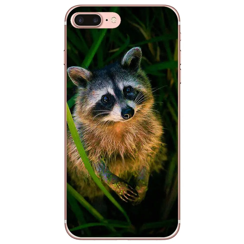 Силиконовый чехол для Huawei Honor 8A 7A 7C 8X 9 9X 10 10i 20 Lite Pro Y5 Y6 Y7 Y9 2018 2019 Kawaii Baby Raccoons Racoons Print -