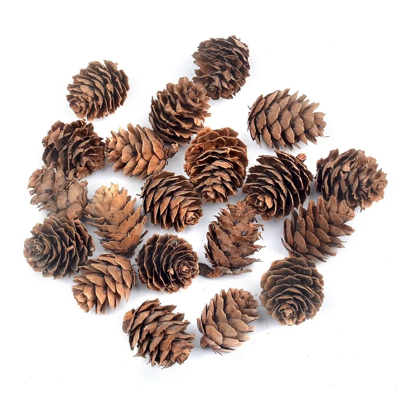 

10pcs Natural Pine Nuts Fruit Artificial Flowers Pineapple Cones for Wedding Christmas Decoration DIY scrapbooking Carft