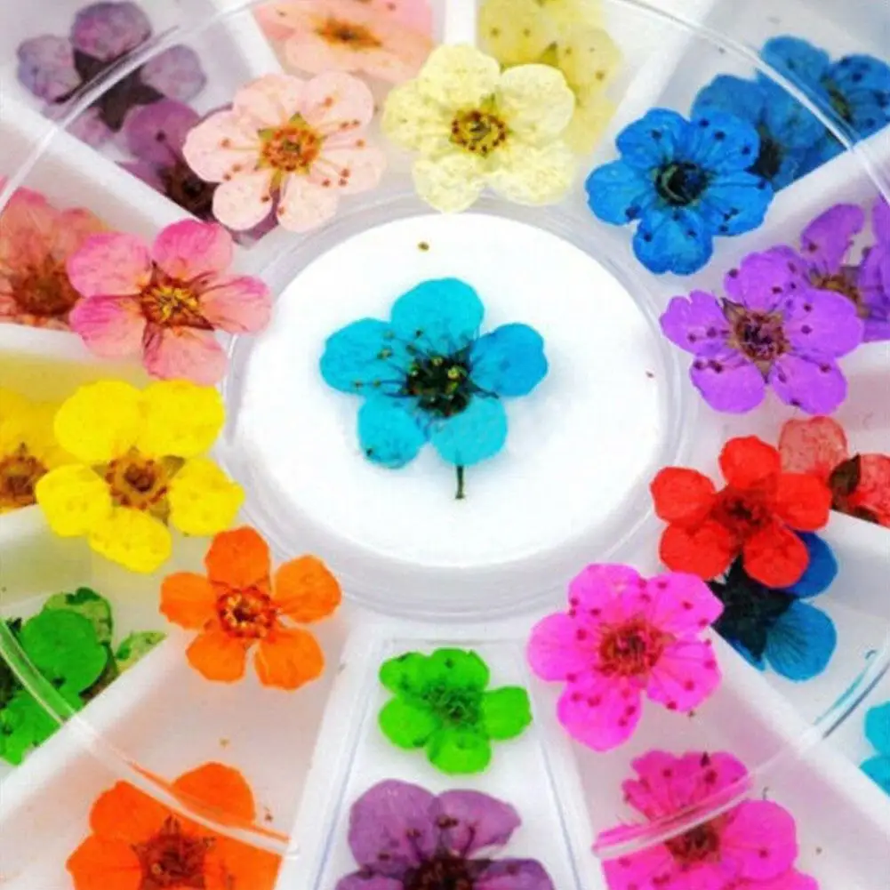 1 Box 3D Mixed Dried Flower Nail Decoration Jewelry Manicure Color Floral Art Decals 12 Accessories Natural For DIY Sticker O6N8
