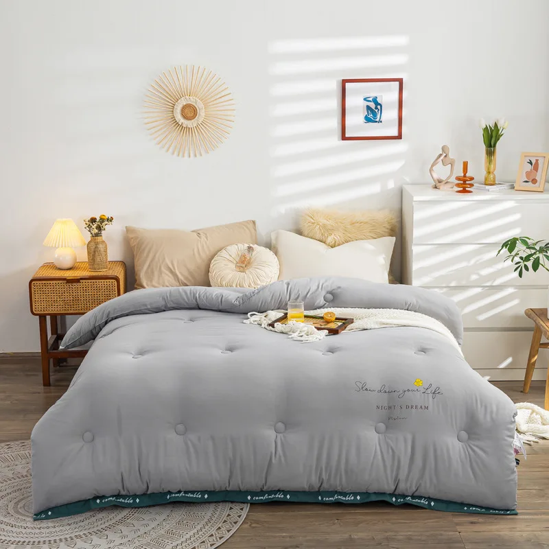 

2021 Autumn and Winter New Thick Cloud Velvet Warm Winter Quilt Pure Color Lace Feather Velvet Quilt Quilt Core