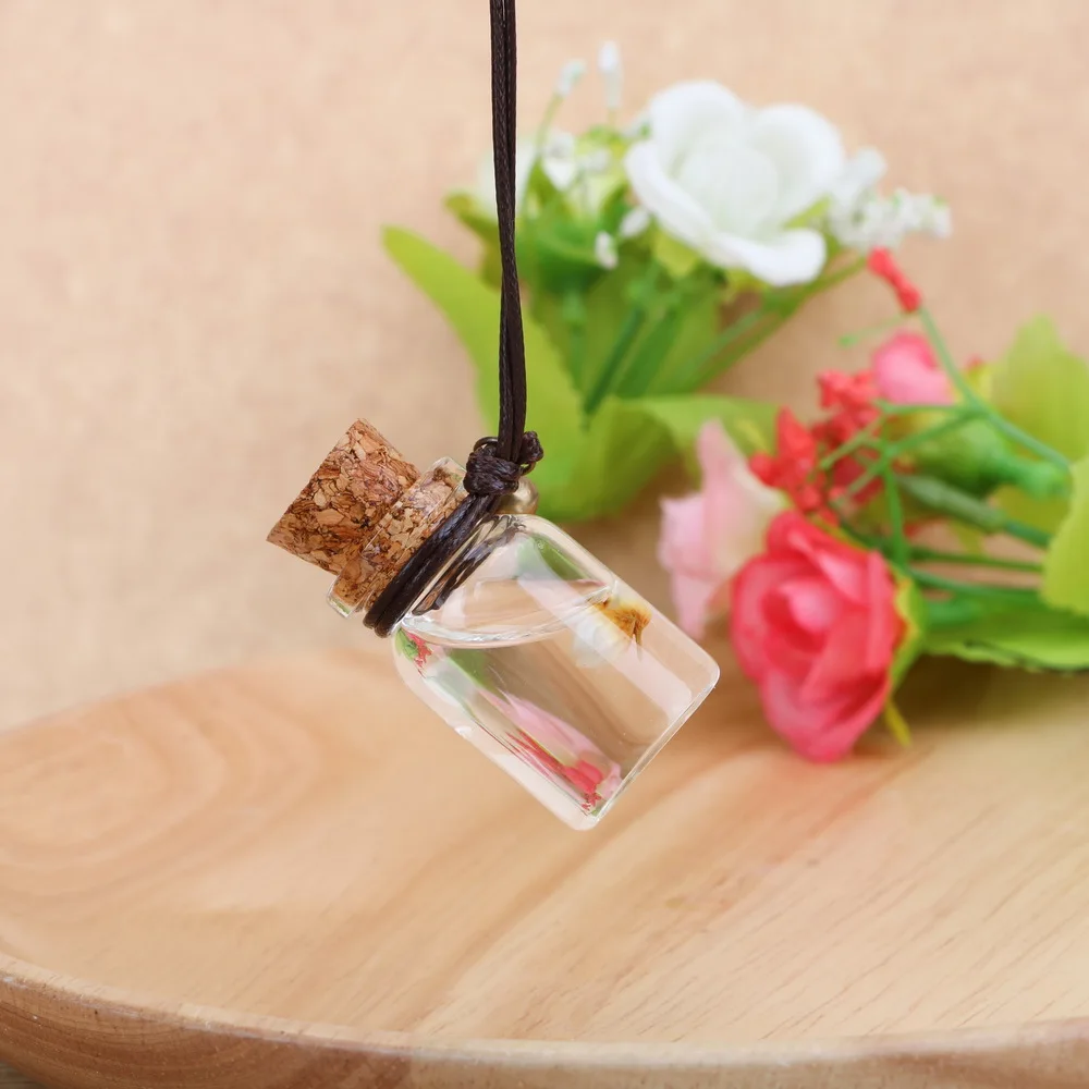 Авто подвеска для зеркала заднего вида автомобиля ОРНАМЕНТ пустая висит бутылка