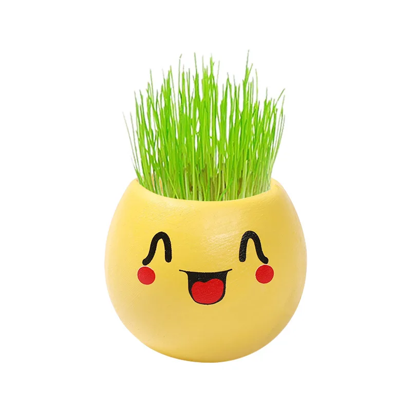 office decor Small grass potted children indoor balcony cute expression long head doll baby pot planters Vase flower |