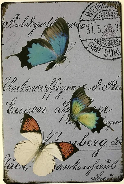 

Chic Antique Butterflies Vintage Retro Tin Sign