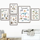 Постер с изображением динозавра, слона, Льва, оленя, медведя, акулы, зебры