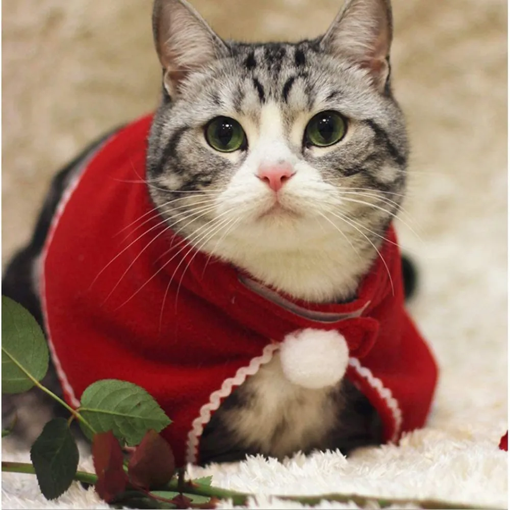 

Christmas Decorations 2022 Cats Dogs Christmas Costumes Xmas Party Ornaments Christmas Decorations Pet Supplies New Year Navida