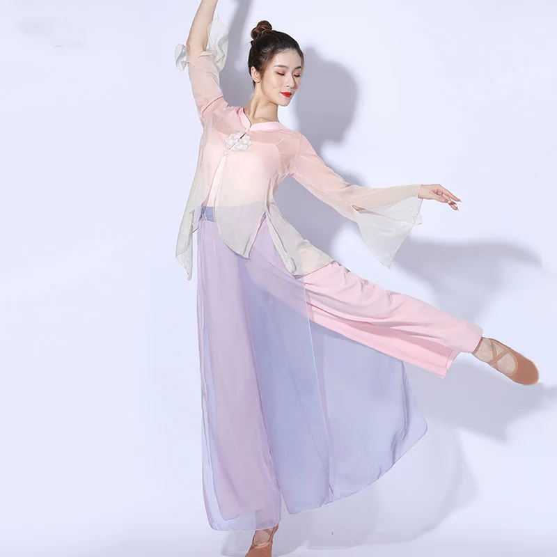 

Summer Chinese Classical Dance Fairy Gauze Clothing Tang Coat Clothing Elegant Dance Acrobatics Female Performance Clothing.