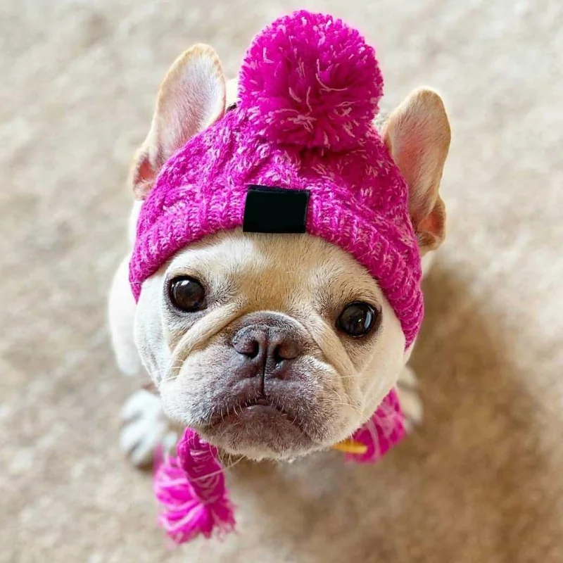 

Winter Knittied Dog Hat for French Bulldog Chihuahua Warm Dog Headgear Puppy Costume ChatPet Accessories