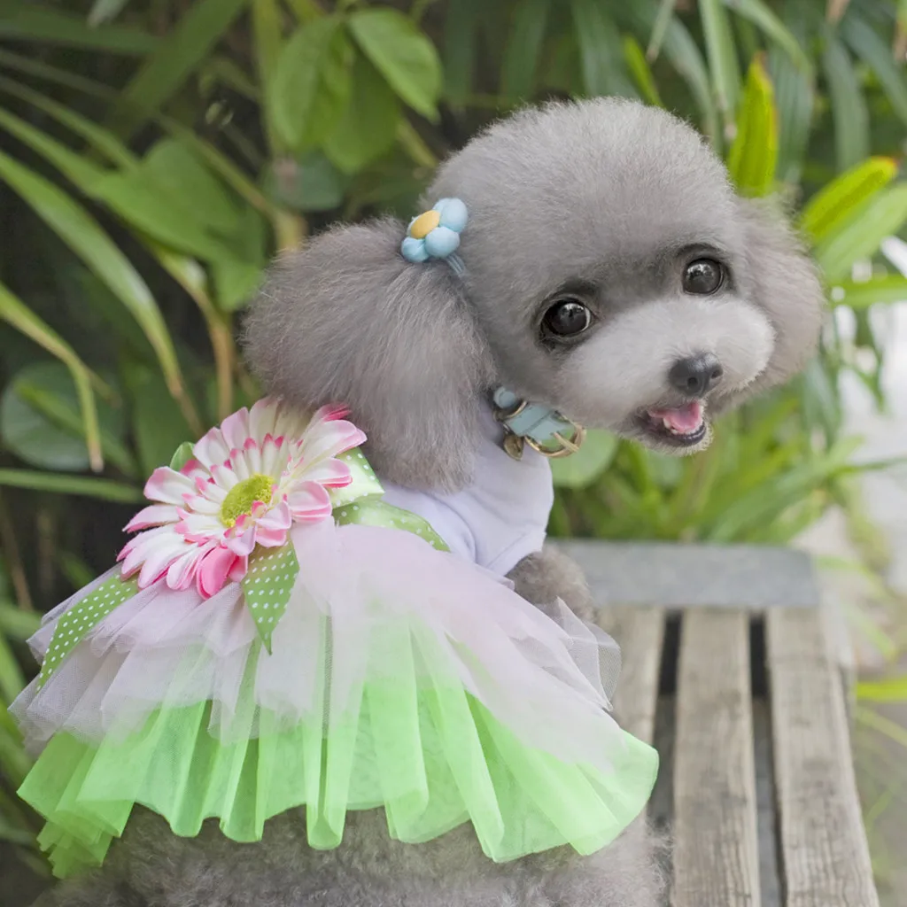 Лидер продаж новая летняя одежда для собак юбка пачка из марли Принцесса Кошка