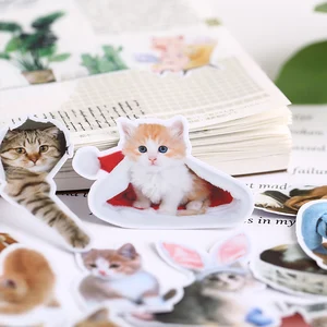 21PCS korean cute cat stickers mobile phone diy photo album waterproof translucent lovely decorative material around a meow
