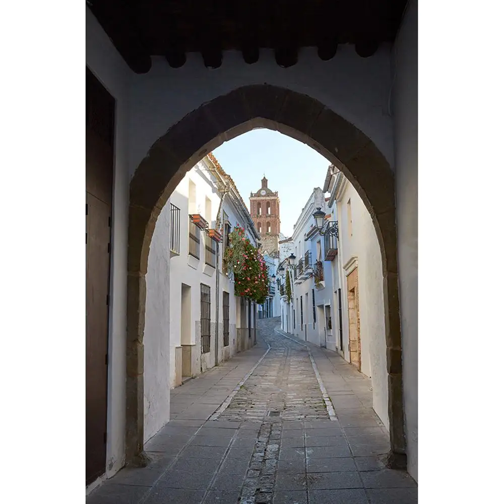 

Buildings Street Arch Photo Background Fond Vinyl Cloth Backdrop for Portrait Children Baby Pets Photoshoot Photography Props