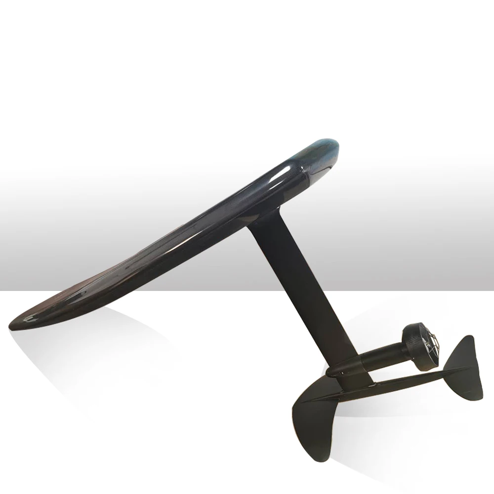 Рисунок 2 - Полностью углеродная эфольга