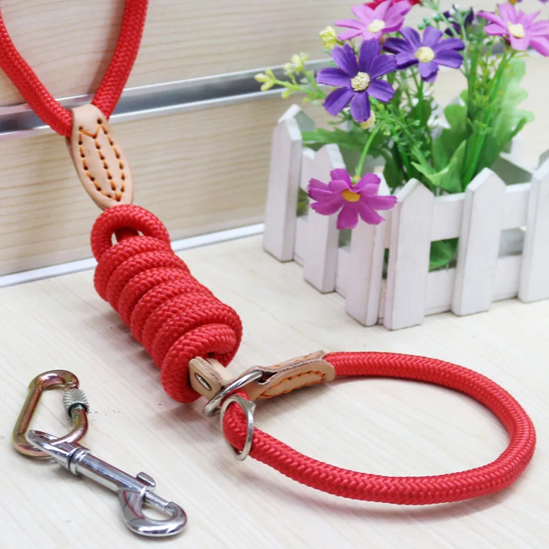 

Nylon P Chain Dog Accessories Collars Harnesses Leads Leash Harness Sewing Leather Traction Rope Training Pet Products