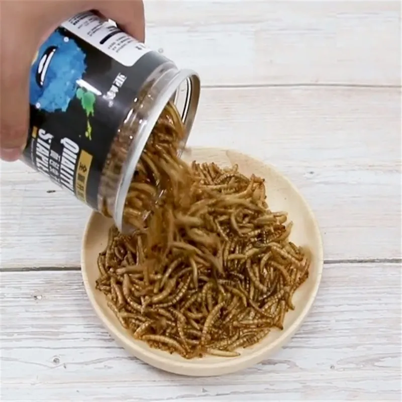 Сушеный аквариум 500 мл Mealworm пруд для аквариума рептилии дикая птица еда хомяк