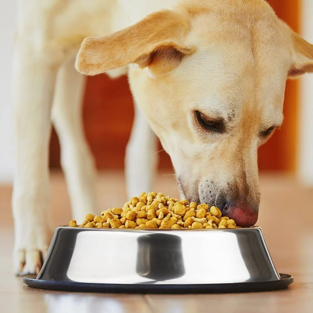 Dog bowls