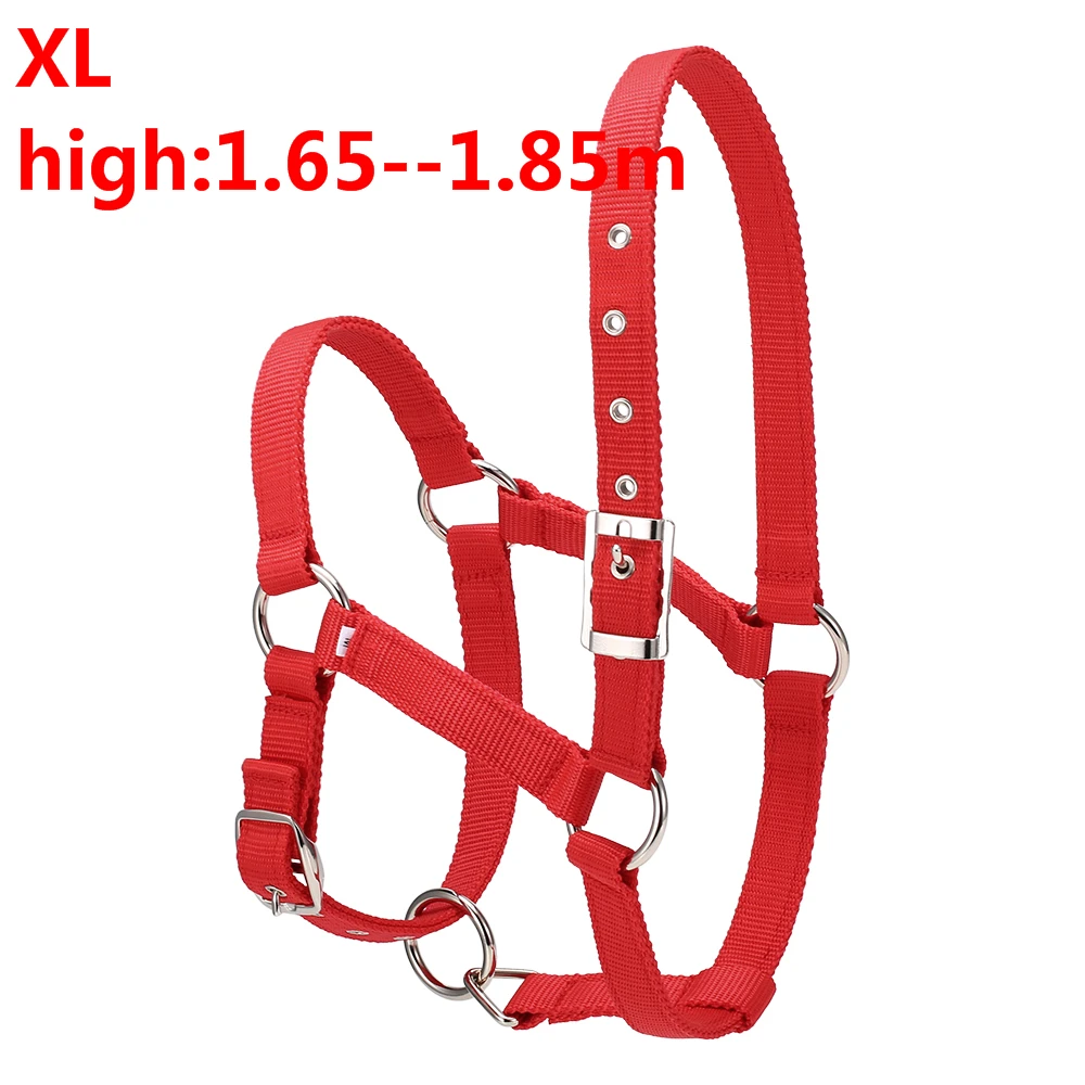 red XL S/M/L 6 мм утолщенный ошейник для головы лошади, регулируемый безопасный ошейник с завязкой на шее, ошейник для верховой езды, оборудование для гонок, тренировочная веревка, горячая распродажа - Цвет: red XL